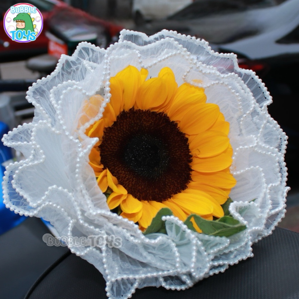 รูปภาพ 7