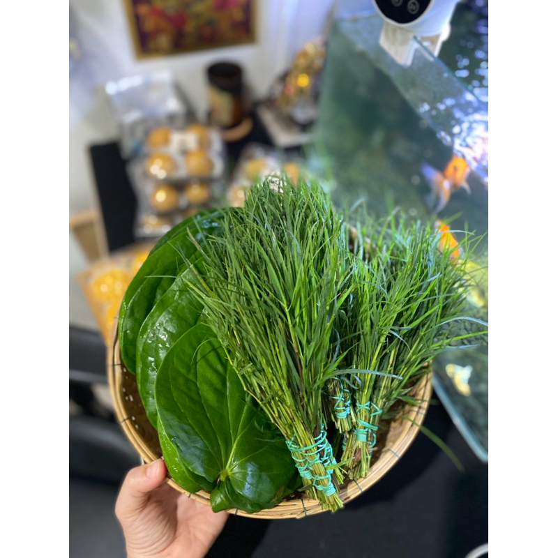 หญ้าแพรกอย่างเดียว 1 ช่อ (2 กำ) และ ชุดคู่หญ้าแพรก 1 กำ + ใบทูรวา (ใบพลู)3 ใบ ถวายพระพิฆเนศ