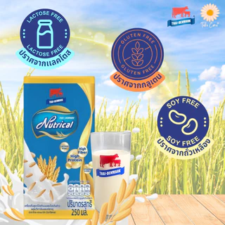 (ยกลัง) Nutrical ไทย-เดนมาร์ค นิวทริแคล เครื่องดื่มโปรตีนสารอาหารครบถ้วน อาหารผู้ป่วยเบาหวาน