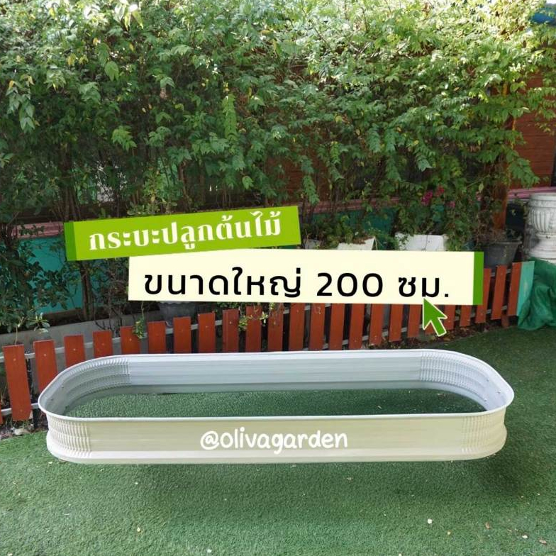 [ขนาดใหญ่ 200cm] กระถางปลูกต้นไม้ กระบะปลูกผัก แปลงปลูก แบบยาวและขนาดใหญ่ขึ้นมากกว่าเดิม - รูปที่ 3