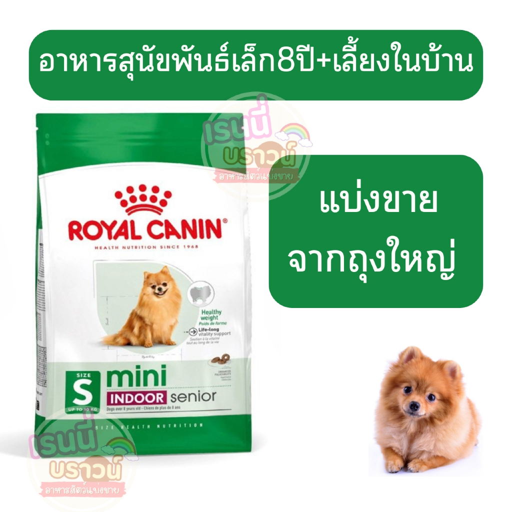 ((แบ่งขาย)) Royal Canin Mini Indoor Senior อาหารเม็ดสุนัขสูงวัยพันธุ์เล็ก เลี้ยงในบ้าน อายุ8ปีขึ้นไป