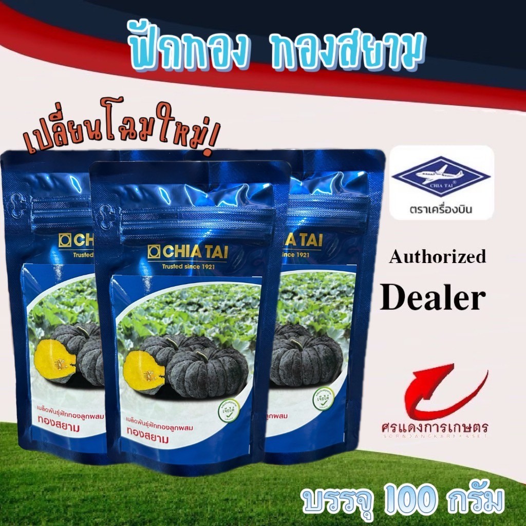 เมล็ดพันธุ์ ฟักทองทองสยาม 100g