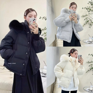 🦢New Basic Hoodie🦢พร้อมส่ง￼ เสื้อกันหนาวเสื้อโค้ท มีฮู้ด