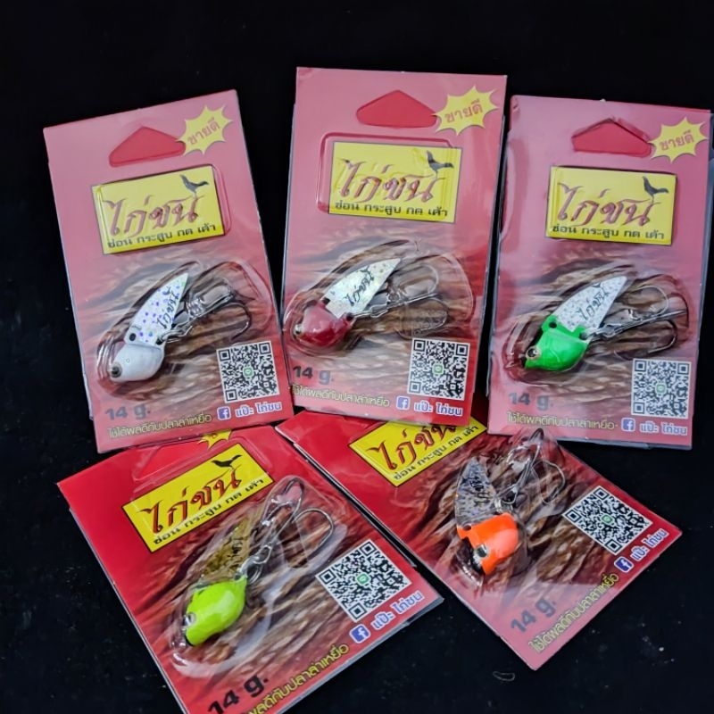 กระดี่ไก่ชน14กรัม(ตัวใหญ่)ของแท้ จัดชุดโปรโมชั่น - รูปที่ 2