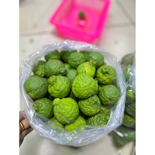 ลูกมะกรูด 1กก. สด,ใหม่จากต้น💯🌱