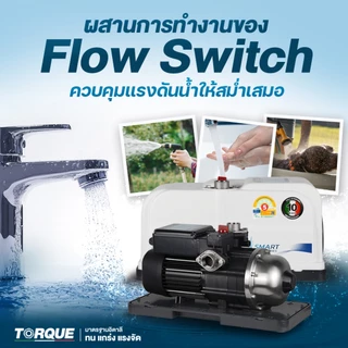 🔥แบรนด์แท้อิตาลี ส่งด่วน🔥 ปั๊มน้ำ TORQUE Smart Lite200 Lite250 Lite350 Smart 300D 500D 900 ปั๊มน้ำเสียงเงียบ