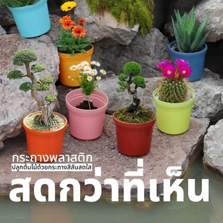 กระถางต้นไม้พลาสติก กระถางมินิมอล กระถางโมเดิร์นระบายน้ำได้ดีป้องกันรากเน่า พลาสติกแข็งแรงงานญี่ปุ่น