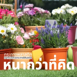 กระถางต้นไม้พลาสติก กระถางมินิมอล กระถางโมเดิร์นระบายน้ำได้ดีป้องกันรากเน่า พลาสติกแข็งแรงงานญี่ปุ่น