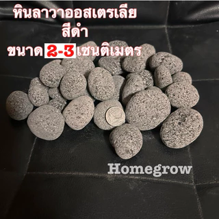 หินลาวาออสเตรเลีย สีดำ นำเข้า พร้อมจัดส่งในไทย