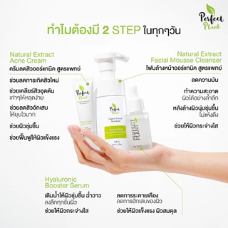 DR.NAME X Perfect Plant เซตดูแลสิว สิวอักเสบ สิวอุดตัน สิวติดสาร (ครีมสิว+โฟมล้างหน้า+ไฮยามอยซ์)