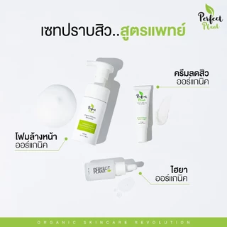 DR.NAME X Perfect Plant เซตดูแลสิว สิวอักเสบ สิวอุดตัน สิวติดสาร (ครีมสิว+โฟมล้างหน้า+ไฮยามอยซ์)