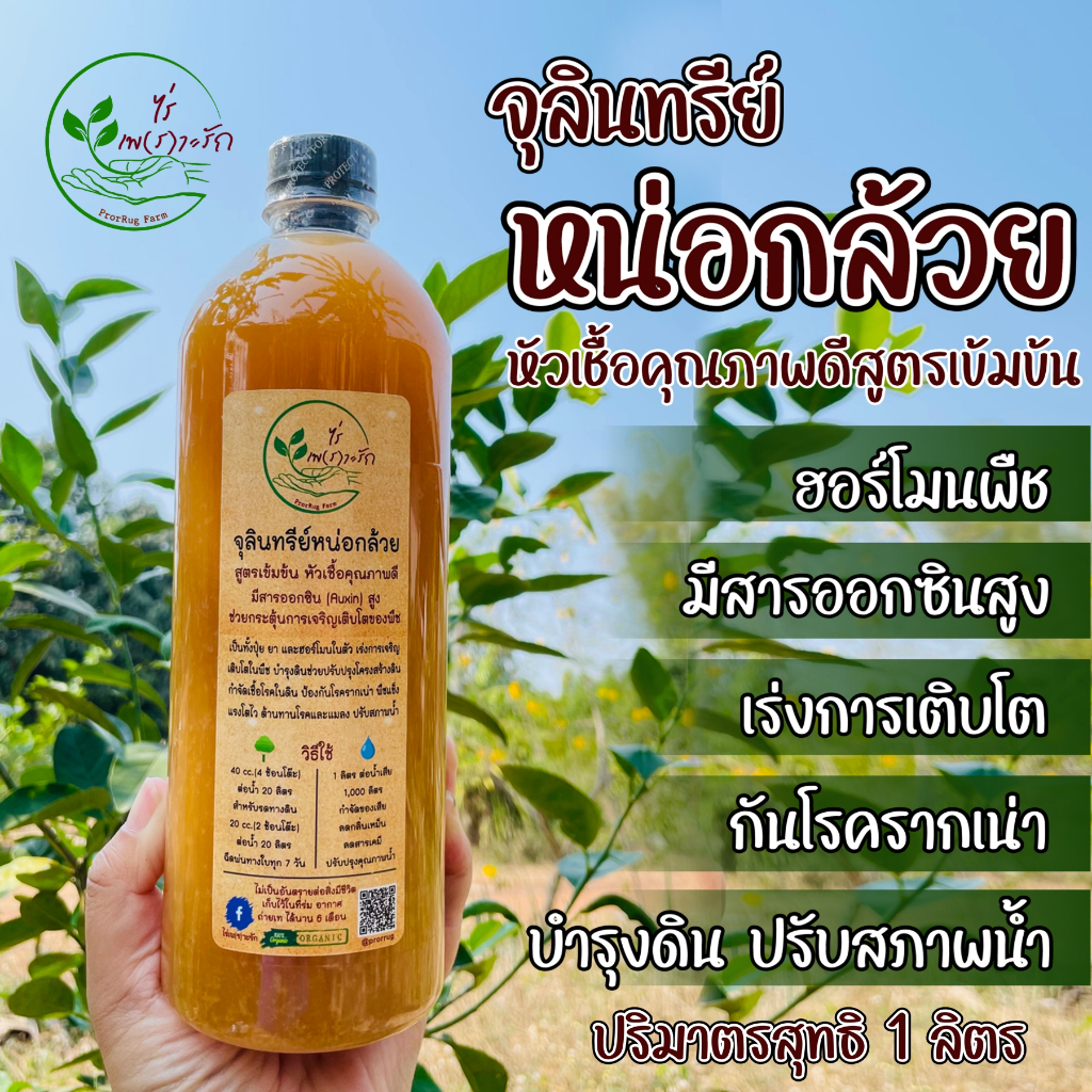 จุลินทรีย์หน่อกล้วย สูตรเข้มข้น หัวเชื้อคุณภาพดี ขนาด 1 ลิตร ฮอร์โมนพืช บำรุงพืช ดิน น้ำ ดับกลิ่นเหม็นคอกสัตว์ ย่อยฟาง