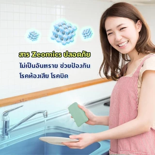 Poly-Brite โพลี-ไบรท์ ฟองน้ำ ฟองน้ำหุ้มตาข่าย ใยขัดอเนกประสงค์ รุ่น แอนตี้แบคทีเรีย (2 แพ็ก) (มี 4 ตัวเลือก)