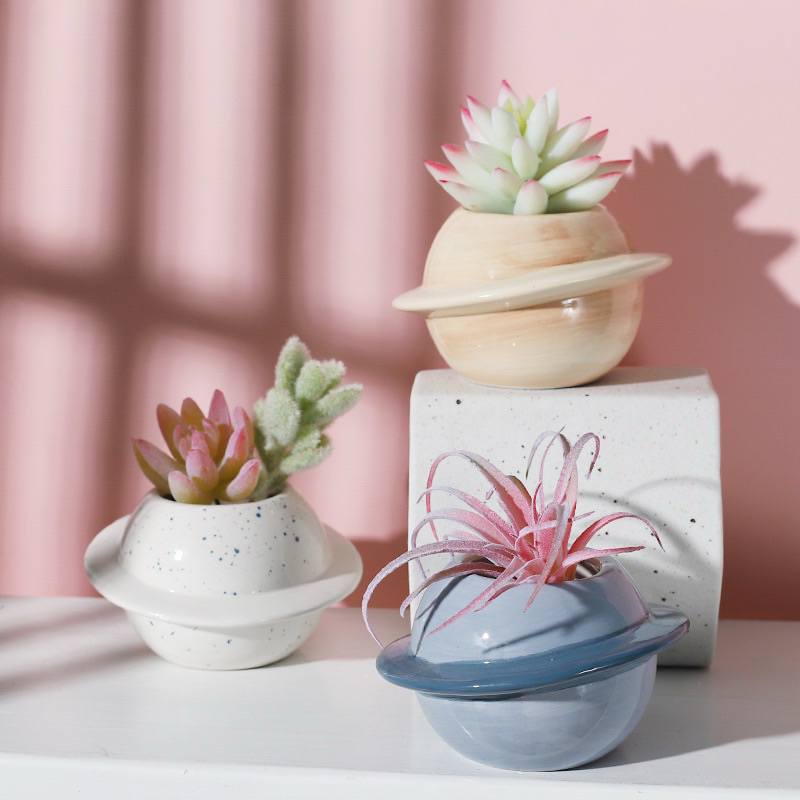 Ceramic pots กระถางเซรามิก กระถางรูปดาว กระถางแคคตัส