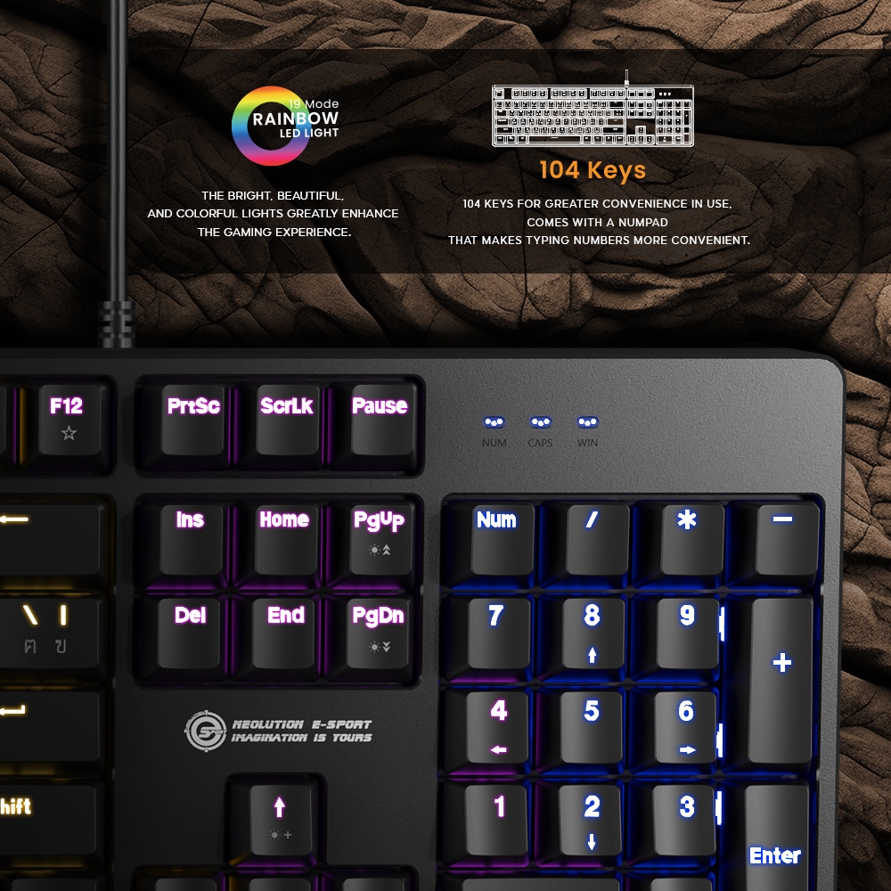 รูปภาพ 5