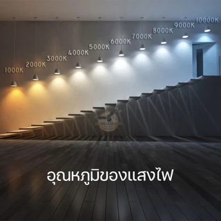 หลอดไฟ LED 5W 7W 9W 12W 15W 18W 24W หลอดไฟปิงปอง สว่างมาก ไฟติดบ้าน ผ่านมาตรฐาน มอก. ขั้วE27 HLX