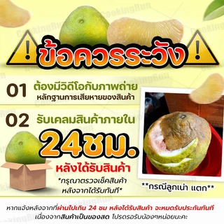 🚚ส่งฟรี/มีไลฟ์🚚🍏 ส้มโอขาวน้ำผึ้ง 🍏 ( 4 ลูก ) รสจัด กลมกล่อม หวานอมเปรี้ยว เนื้อแน่น ส่งตรงจากสวน cookingrun 📌