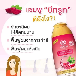 Bualuang Shampoo บัวหลวง แชมพู 450 ml ถนอมเส้นผม (Beetroot/Kaffir Lime)