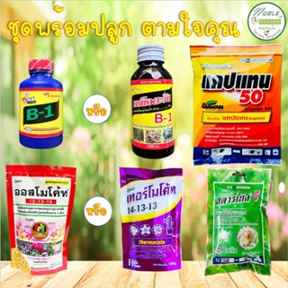 🔥 ชุดพร้อมปลูก สุดคุ้ม 🔥 เลือกได้ตามใจคุณ น้ำยาเร่งราก B1 ปุ…