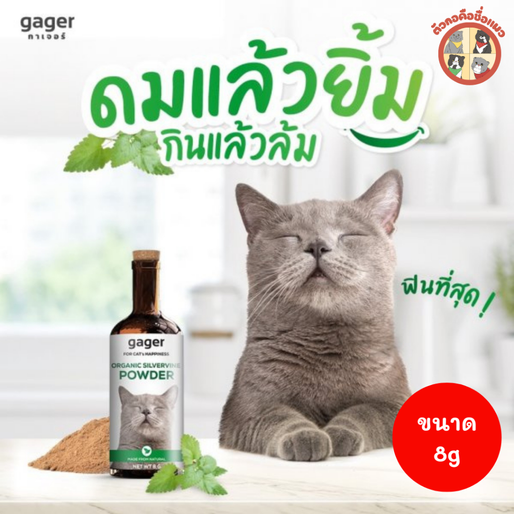 Gager ผงมาทาทาบิ พลังช้าง ไม้มาทาทาบิ ออร์แกนิค ทำให้แมวฟินสุด 8g.