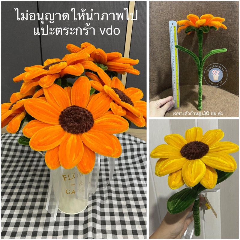 ดอกทานตะวันกำมะหยี่ดอกใหญ่ แม่ค้าส่งของวันที่15-20ก.พ.