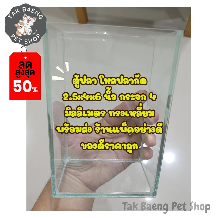 ส่งรวดเร็ว ตู้ปลา โหลปลากัด  2.5x4x6 นิ้ว กระจก 4 มิลลิเมตร ทรงเหลี่ยม พร้อมส่ง ของดีราคาถูก