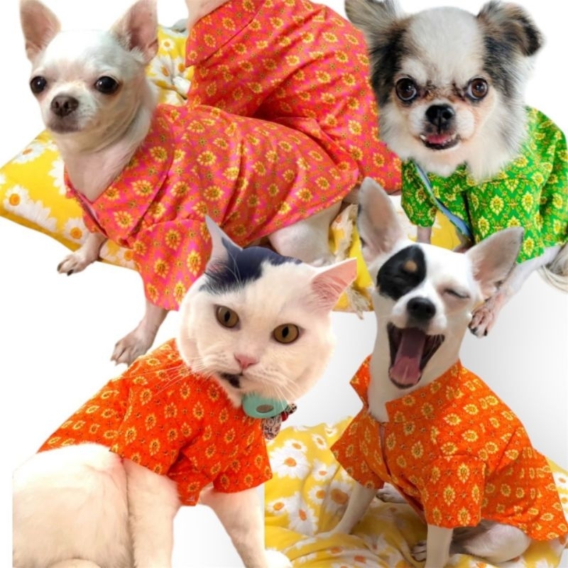 เสื้อเชิ้ตสุนัข ลายไทย แบรนด์อาราเล่