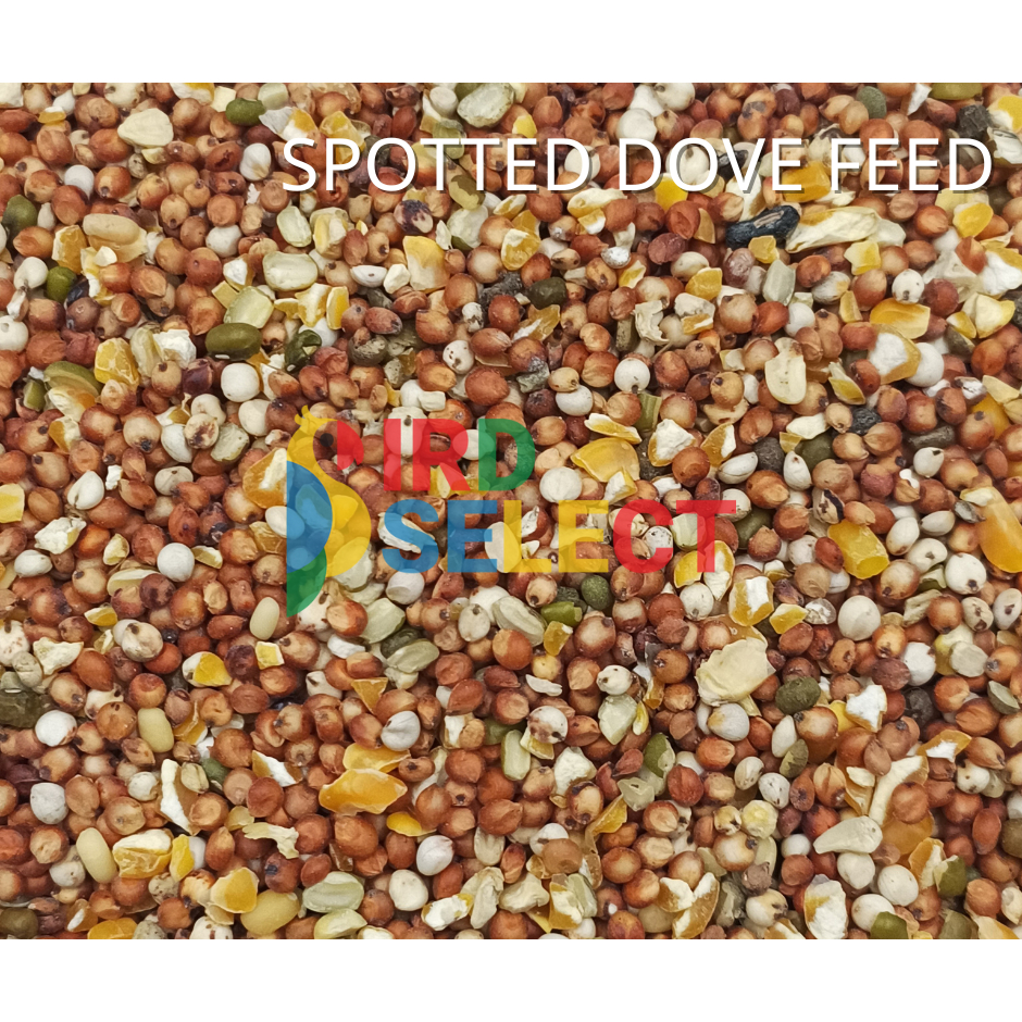 ธัญพืชรวม (เขาใหญ่) บรรจุกระสอบ 30 กิโลกรัม