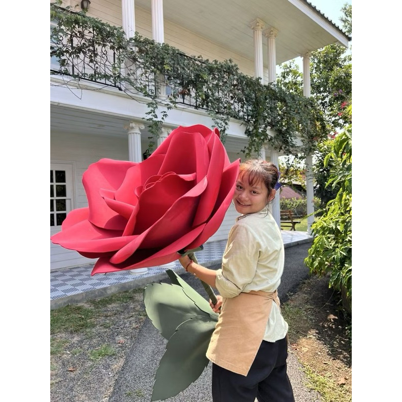 กุหลาบยักษ์มีก้าน กลีบเลี้ยงและใบ