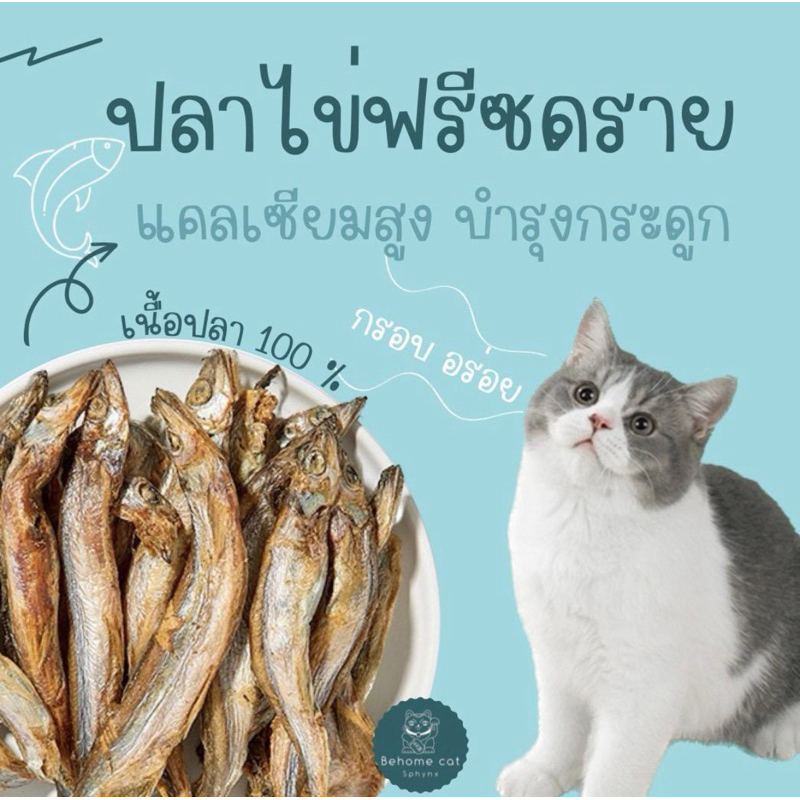 ปลาไข่ฟรีซดราย ขนมฟรีซดรายแมว ขนมสำหรับสัตว์เลี้ยง