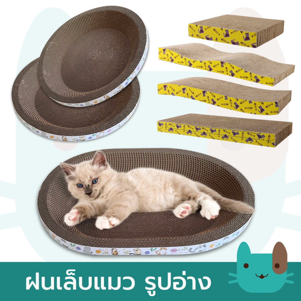 ฝนเล็บแมว อ่างฝนเล็บแมว ที่ลับเล็บแมวของเล่นแมว คลายเครียด
