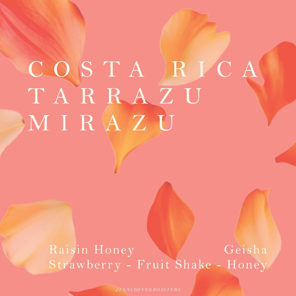 JYNN coffee roasters เมล็ดกาแฟ Costa Rica Tarrazu Mirazu Geisha - 100g