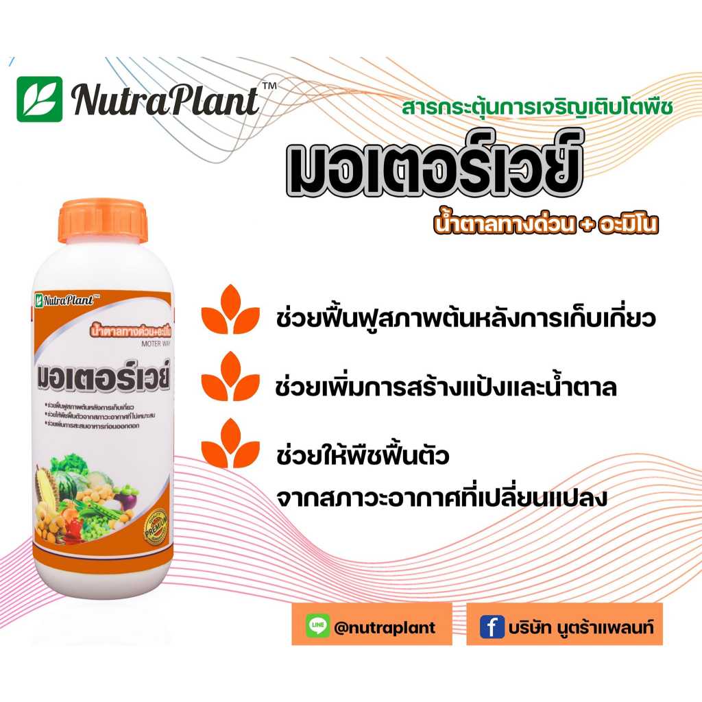 มอเตอร์เวย์ นูตร้า-แพลนท์ ขนาด 1 ลิตร สะสมอาหาร เร่งสี เร่งหวาน ฟื้นฟูต้น รูปที่ 3