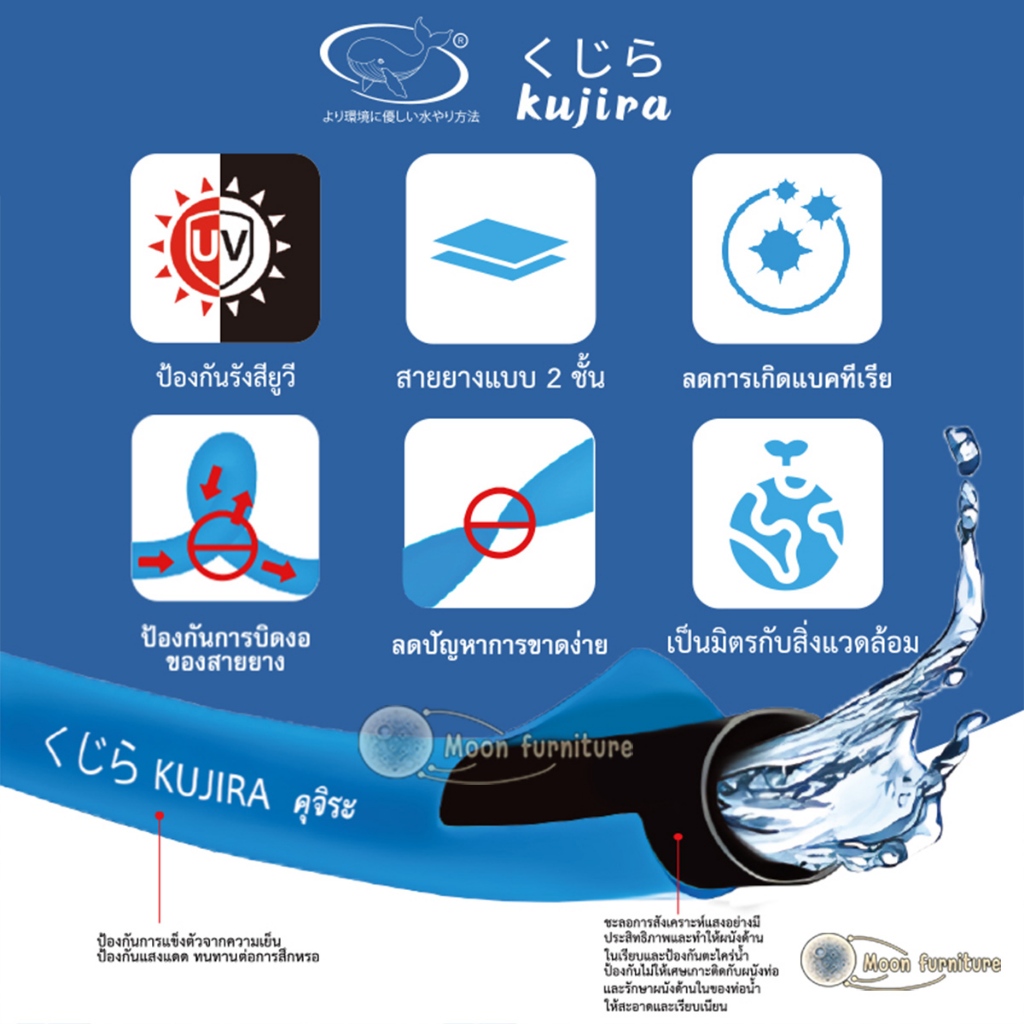 รูปภาพ 9