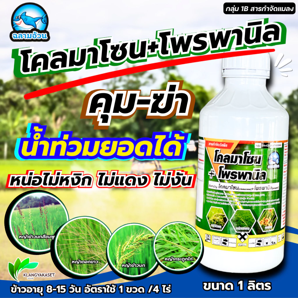 โคลมาโซน + โพรพานิล ฉลาม 1ลิตร🛑 ยาคุมฆ่า ในนาข้าว กำจัดวัชพืช ในนาข้าว หญ้าข้าวนก หญ้าดอกขาว หญ้ากระดูกไก่ โซนเนอร์