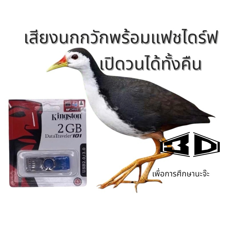 USB เสียงนกกวัก เสียงดังฟังชัด100% เปิดวนได้ทั้งคืน เพื่อการศึกษา