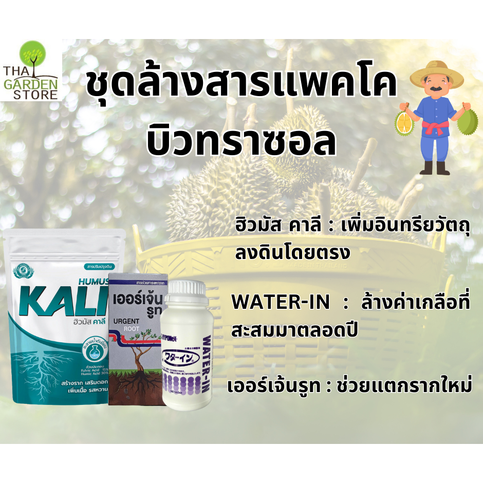 ชุดล้างสารแพคโคบิวทราซอล ในต้นทุเรียน