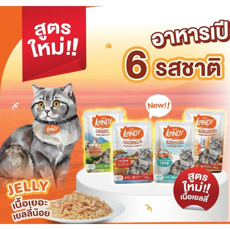 ( 1 ซอง ) Kandy อาหารเปียกแมว สำหรับลูกแมว และแมวโต ตั้งแต่ 2 เดือนขึ้นไป ไม่ใส่เกลือ ขนาด 70 กรัม K