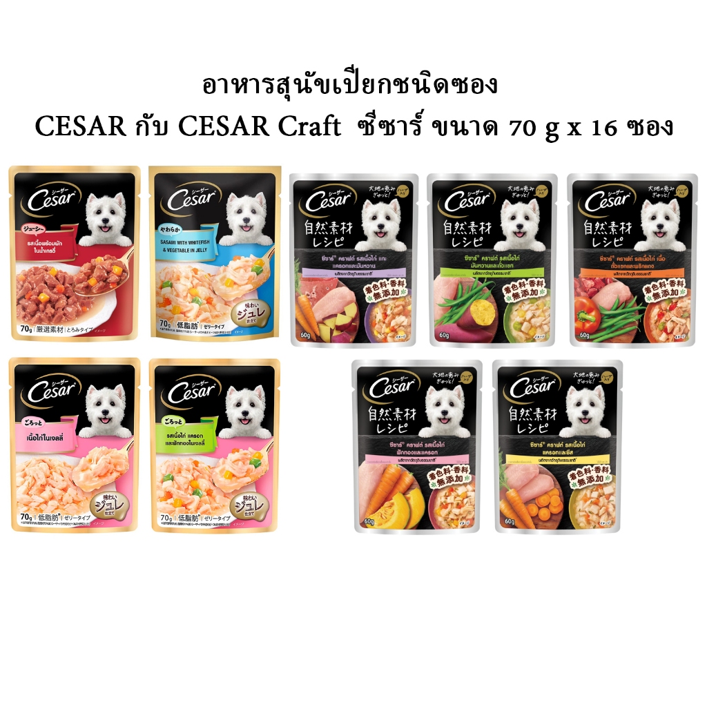 อาหารสุนัขเปียกชนิดซอง CESAR กับ CESAR Craft ซีซาร์ ขนาด 70gX16 ซอง