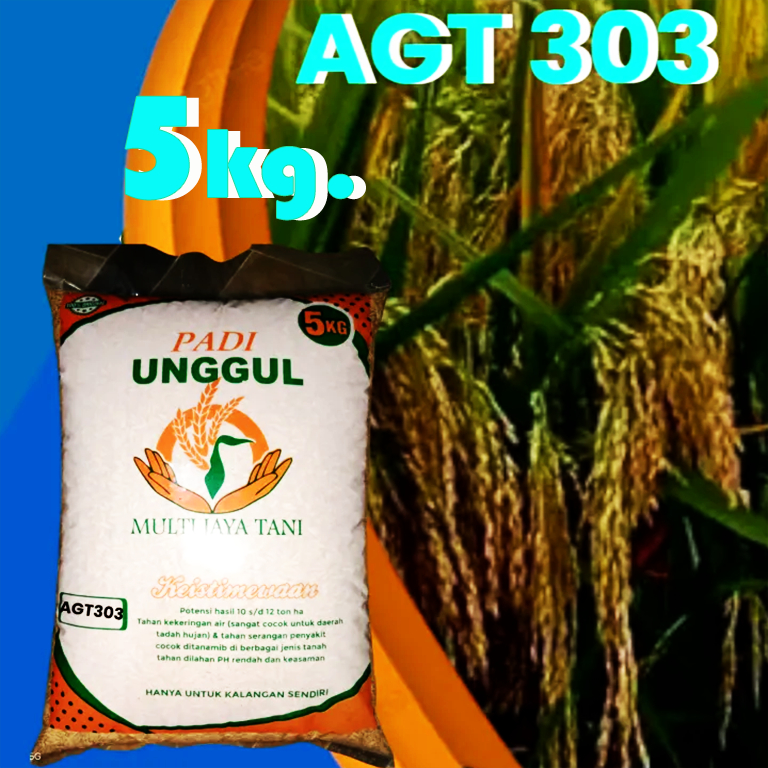 เมล็ดพันธุ์ข้าว AGT 303 บรรจุ 5 กิโลกรัม (อินโดนีเซีย)