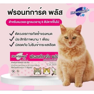 💥💥โปรฯ💥💥FRONTGUARD PLUS ฟรอนท์การ์ด พลัส สำหรับแมว (10 กล่องราคา 399 บาท)