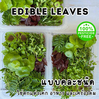 ใบไม้สดใช้ตกแต่งเค้ก อาหารและเครื่องดื่ม แบบคละชนิด พร้อมใช้