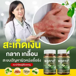 (1 กระปุก) พลูคาว Plukaow Plus พลูคาวพลัส พ่อทองชิด กลากเกลื้อน เชื้อรา สะเก็ดเงิน แผลสะสม พร้อมส่ง แท้