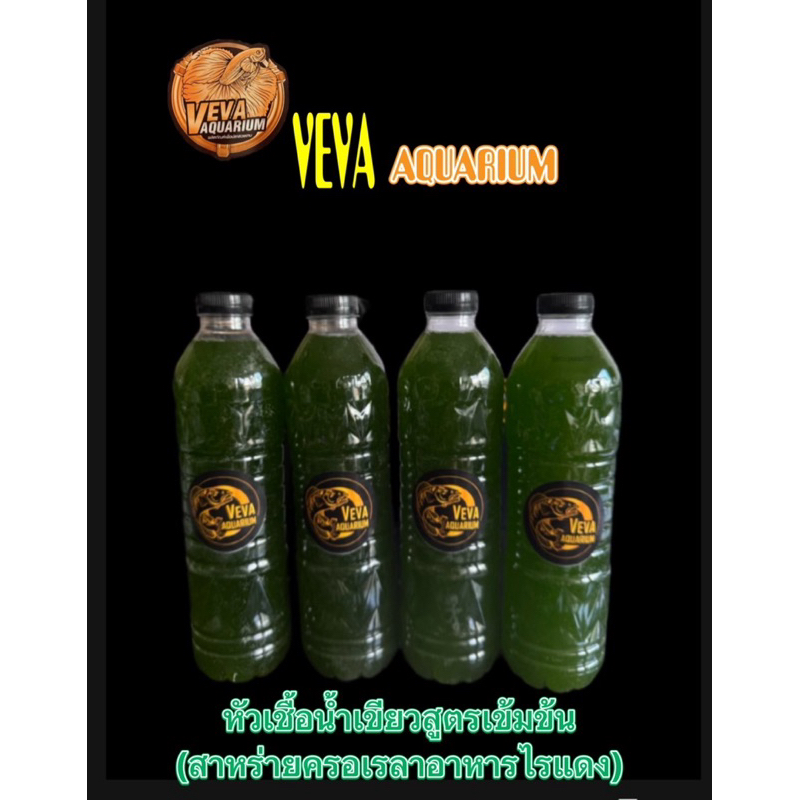 หัวเชื้อน้ำเขียวเข้มข้น (สาหร่ายคลอเรลล่า)ขนาด 600 ml.  สำหรับเลี้ยงไรแดง
