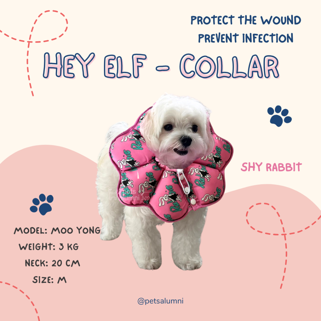 Hey Elf Collar คอลล่ากันเลียน่ารัก ชนิดนิ่ม กันน้ำ ปรับระดับได้ คอลล่ากันเลีย กันเลียแมว