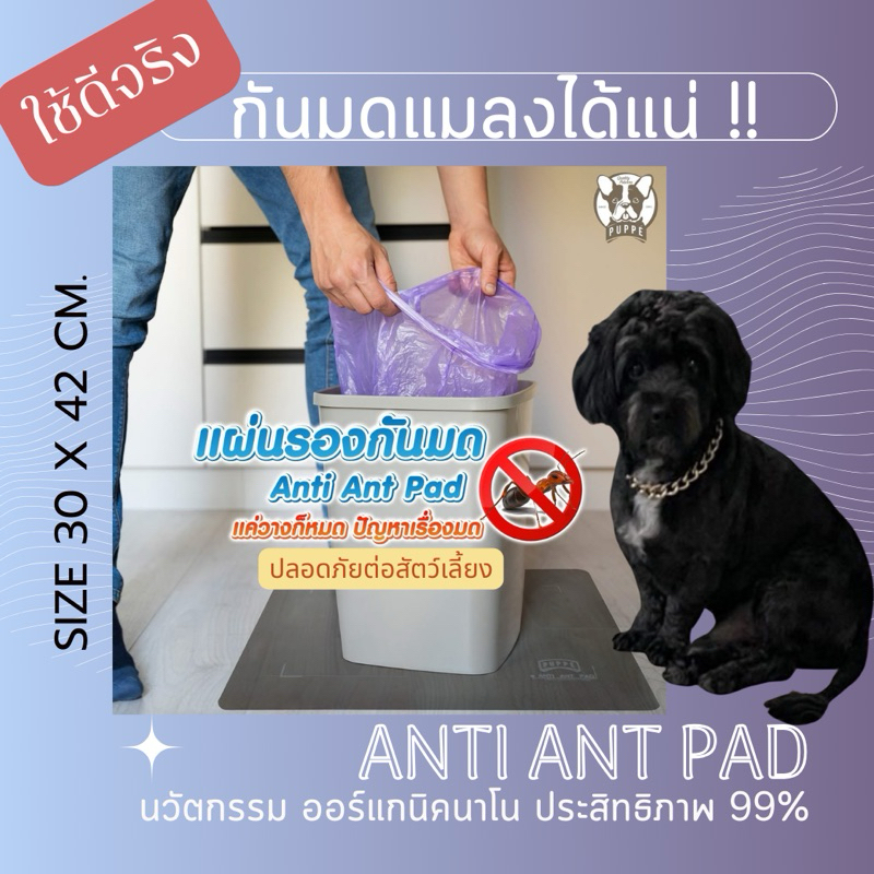 #แผ่นรองกันมด 🐜สินค้าแนะนำ👌#ราคาดีสุดแผ่นใหญ่#AntiAntPad ใหม่มีสกรีนกรอบระยะวางของ