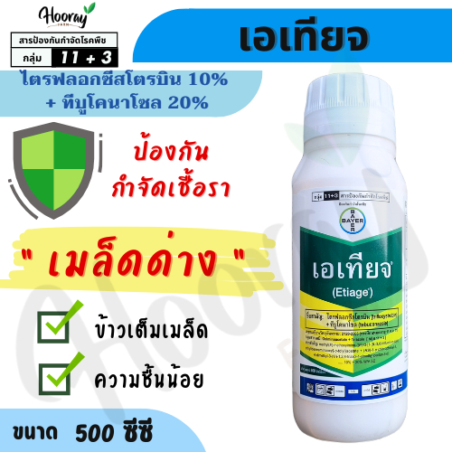 เอเทียจ ( ไตรฟลอกซีสโตรบิน + ทีบูโคนาโซล ) ป้องกันเชื้อรา เมล็ดด่าง โรคไหม้ กาบใบแห้ง ใบจุด สแคป