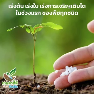 ปุ๋ยยูเรีย 46-0-0 พลังแห่งไนโตรเจนเพื่อพืชที่เจริญงอกงาม (300G/1KG)