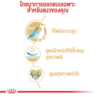 Royal Canin Sphynx Adult อาหารแมว รอยัลคานิน แมวโต บำรุงขน ชุ่มชื่น พันธุ์ สฟิงซ์ 2 kg