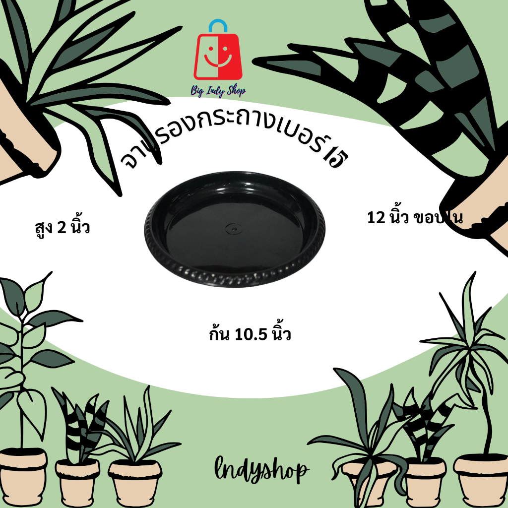 กระถางต้นไม้ดีไซน์เก๋
